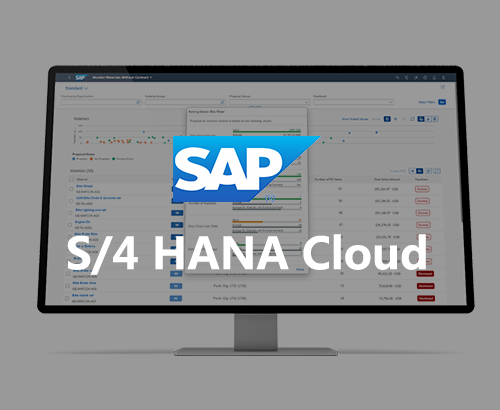 SAP S/4 HANA Cloud